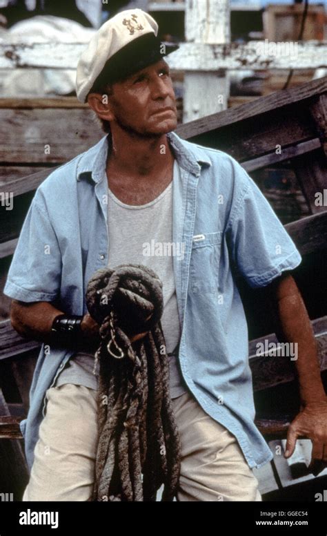 Flipper Usa 1996 Alan Shapiro Paul Hogan Als Porter In Flipper