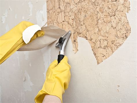 Paper Tiger: Easy Wallpaper Removal » The Money Pit