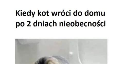 Jak ja to powiem mężowi Jeja pl