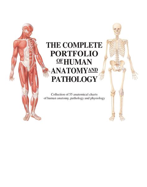 Solution The Complete Portfolio Of Human Anatomy And Pathology Studypool