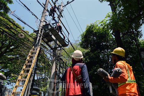 Petugas Pln Malang Lakukan Perawatan Jaringan Listrik Foto