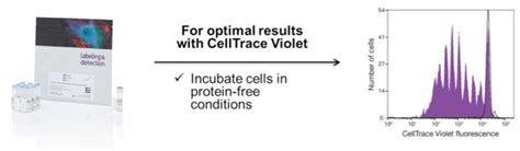 Studying Cell Proliferation Using Cfse Get Advice From An Expert