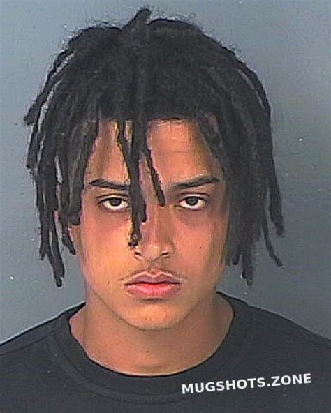 Wall Joshua Curtis 12 19 2022 Hernando County Mugshots Zone