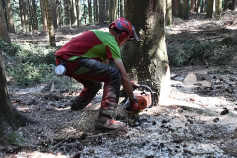 Loire Haute Loire D Gradations Insultes Vols Qui En Veut Aux