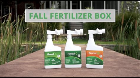 How To Fertilize Your Lawn In The Fall YouTube