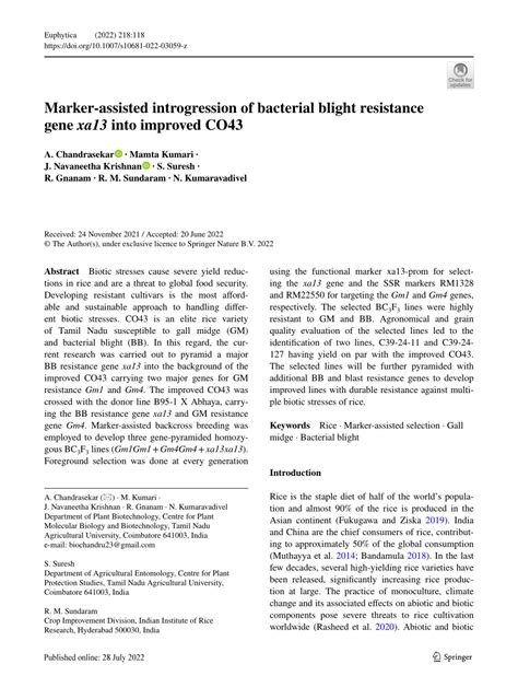 PDF Marker Assisted Introgression Of Bacterial Blight Resistance Gene