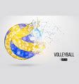 Volleyball Logo On The Background Of Multi Vector Image