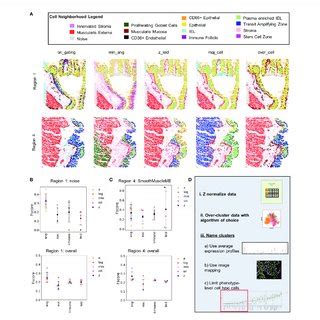 Cellular Neighborhood Analysis Reveals Additional Noisy Cell