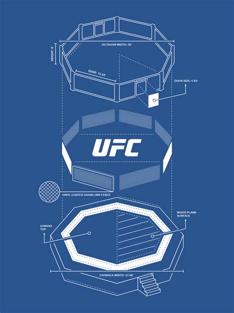 Ufc Octagon Dimensions