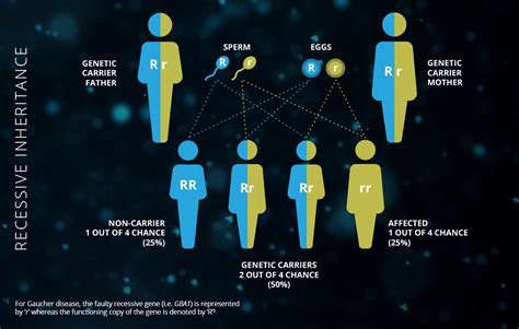 GAUCHER DISEASE AND GBA1 Home