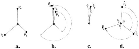 Symmetry Free Full Text Fluctuating Asymmetry Methods Theory And