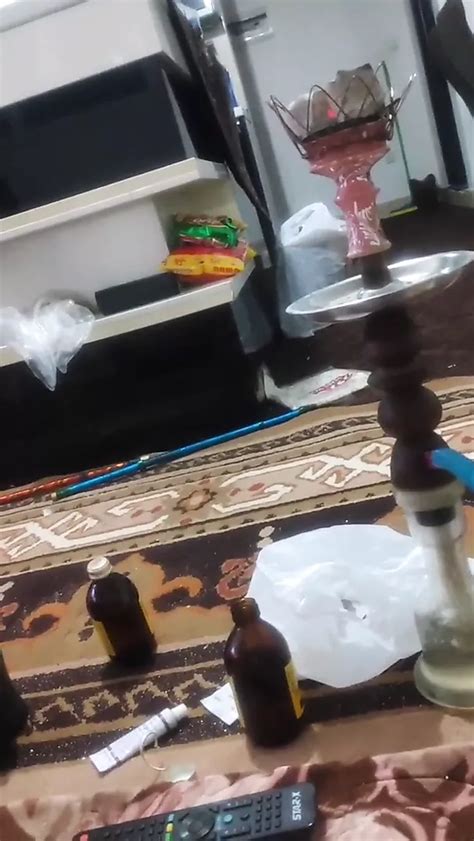 Iranian Girl Sucking Dick Fbb Amateur Porn Xhamster