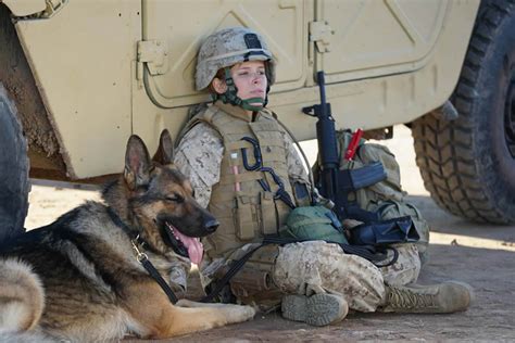 ‘megan Leavey Inspires In Real Life And On Screen Art House Film Wire