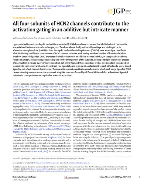 PDF All Four Subunits Of HCN2 Channels Contribute To The Activation