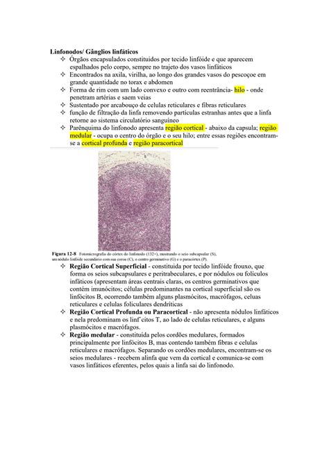 SOLUTION Sistema Imunit Rio Metas Resumo Studypool