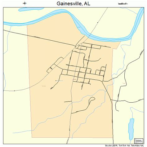 Gainesville Alabama Street Map 0128768