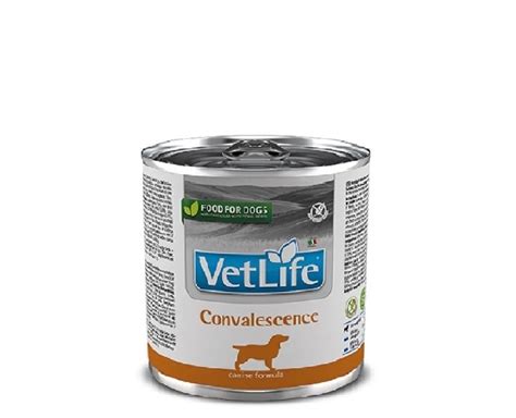 Buy Farmina Vetlife Convalescence Recovery Dog Wet Food Nutrient-Rich ...