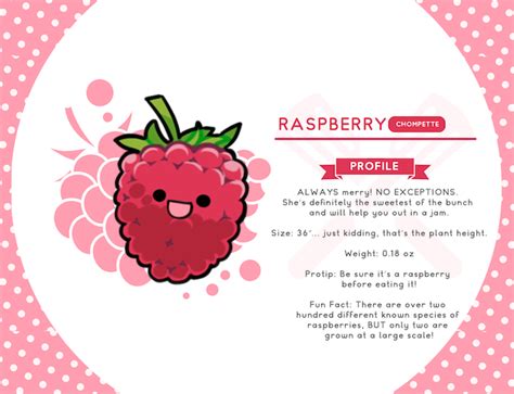 Raspberry - Gallery | Cooking Companions Wiki | Fandom