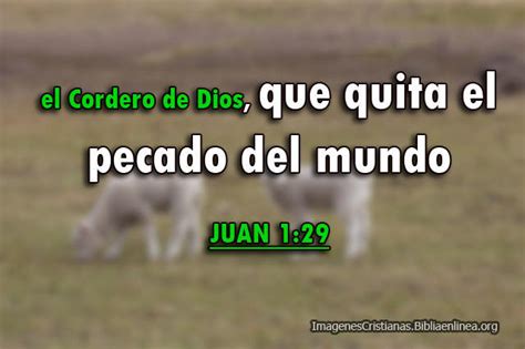 Im Genes Cristianas El Cordero De Dios Que Quita El Pecado Del Mundo