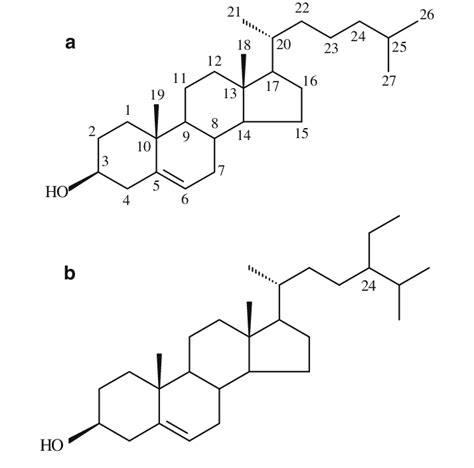 a Structure of cholesterol. b Structure of ß-sitosterol | Download ...