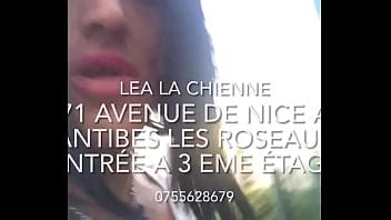 Abattage Videos XVIDEOS