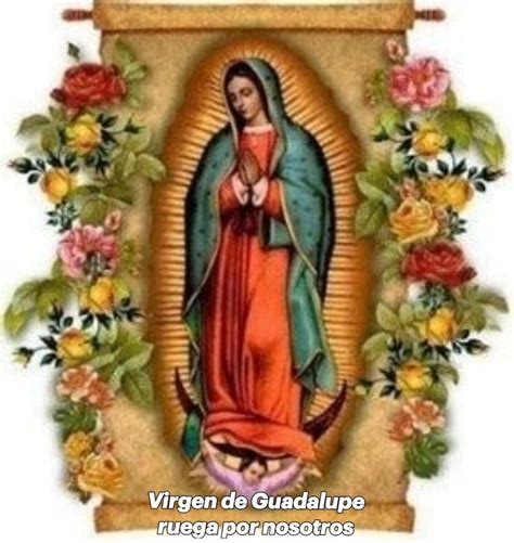 Virgen De Guadalupe Ruega Por Nosotros Imagenes Virgen De Guadalupe