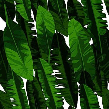 Banana Leaf Pattern Vector Design Banana Leaf Leaf Plant Png And