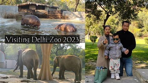 Delhi Zoo Travel Vlog 2023 National Zoological Park Delhi Full