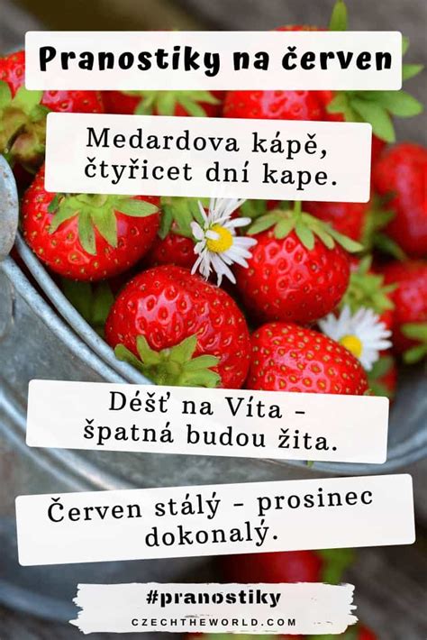 Tradiční české lidové pranostiky (na každý měsíc v roce)