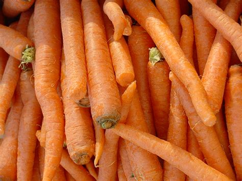 Carrots Are Marching into Season! - Fill Your Plate Blog