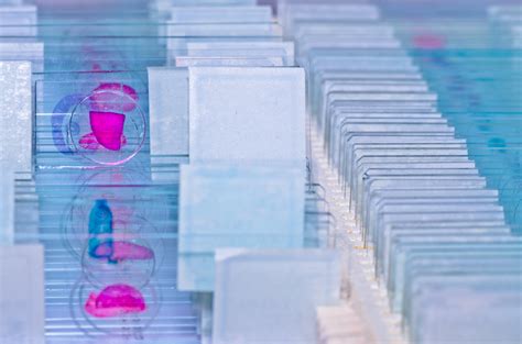 Magnolia Diagnostics - Laboratory Testing Services