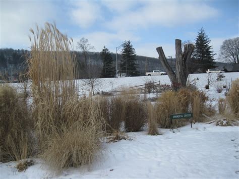 Cutler Botanic Garden Binghamton New York Cutler Botani Flickr