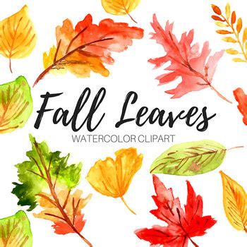 Watercolor Fall Leaves Clip art by Writelovely | TPT