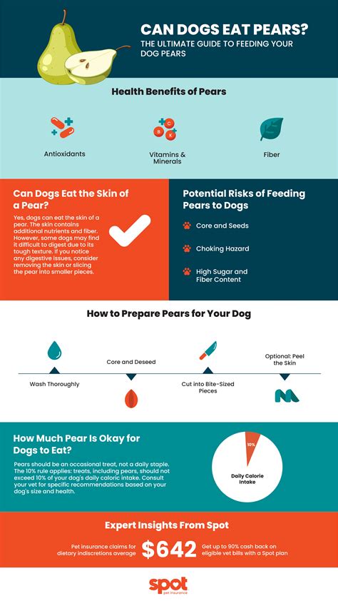 Can Dogs Eat Pears? A Guide to Safe and Healthy Treats | Spot Pet Insurance