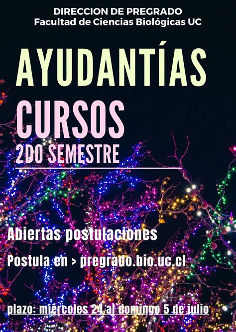 Postulación a Ayudantías segundo semestre 2020 Programas de Pregrado