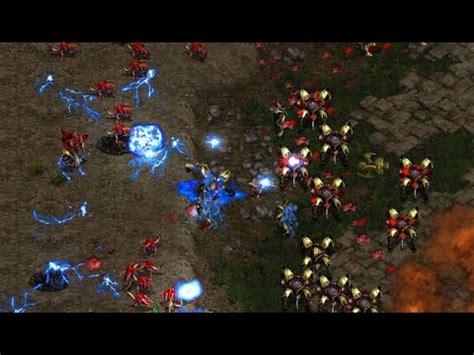 Hero Z V Shuttle P On Polypoid StarCraft Brood War