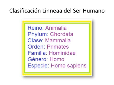 Historia De La Clasificación De Los Seres Vivos Ppt