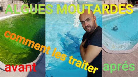 Comment Traiter L Algue Moutarde TRAITEMENT EN 72H YouTube