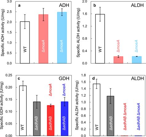 ALDH is dependent on molybdopterin. Specific ADH (a), ALDH (b and d),... | Download Scientific ...