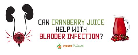 What Everybody Ought To Know About Cranberry Juice