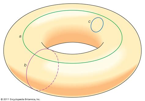 Topology - Geometry, Algebra, Analysis | Britannica