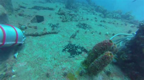 Rodeo 25 Wreck Dive Pompano Beach Fl Exploration Search