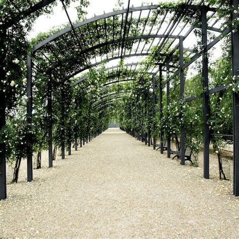 Jardim pérgola de rosas Foto Premium