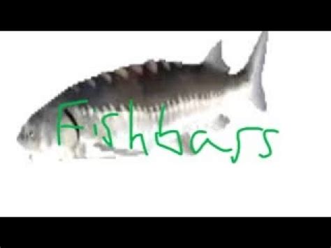 Fishbass By Fishbass 100 Insane Demon 315C Geometry Dash YouTube