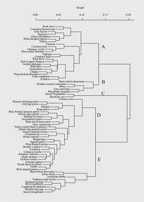 A Dendrogram Resulting From A Upgma Hierarchical Cluster Analysis