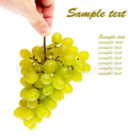 hand with a bunch of grapes on a white with sample text | Stock image ...