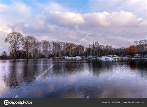 Naked Autumn Trees Shore Lake Cold Cloudy Autumn Day Stock Photo By YAYImages 263212954