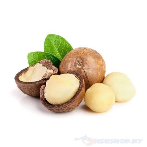 Макадамия в скорлупемакадамия в скорлупекитай000318