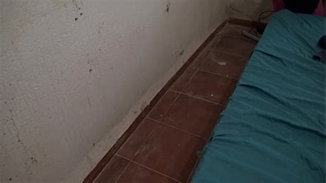 British Milf Creampie Search Xvideos