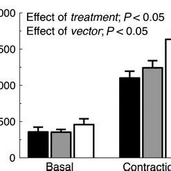 Contraction Mediated Glucose Uptake And Function In Soleus Muscles Of